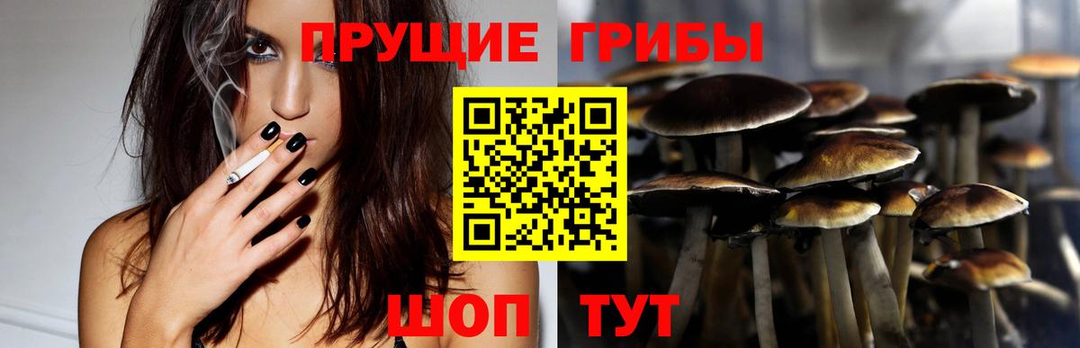 Галлюциногенные грибы прущие грибы  Вход с VPN  Прокопьевск 